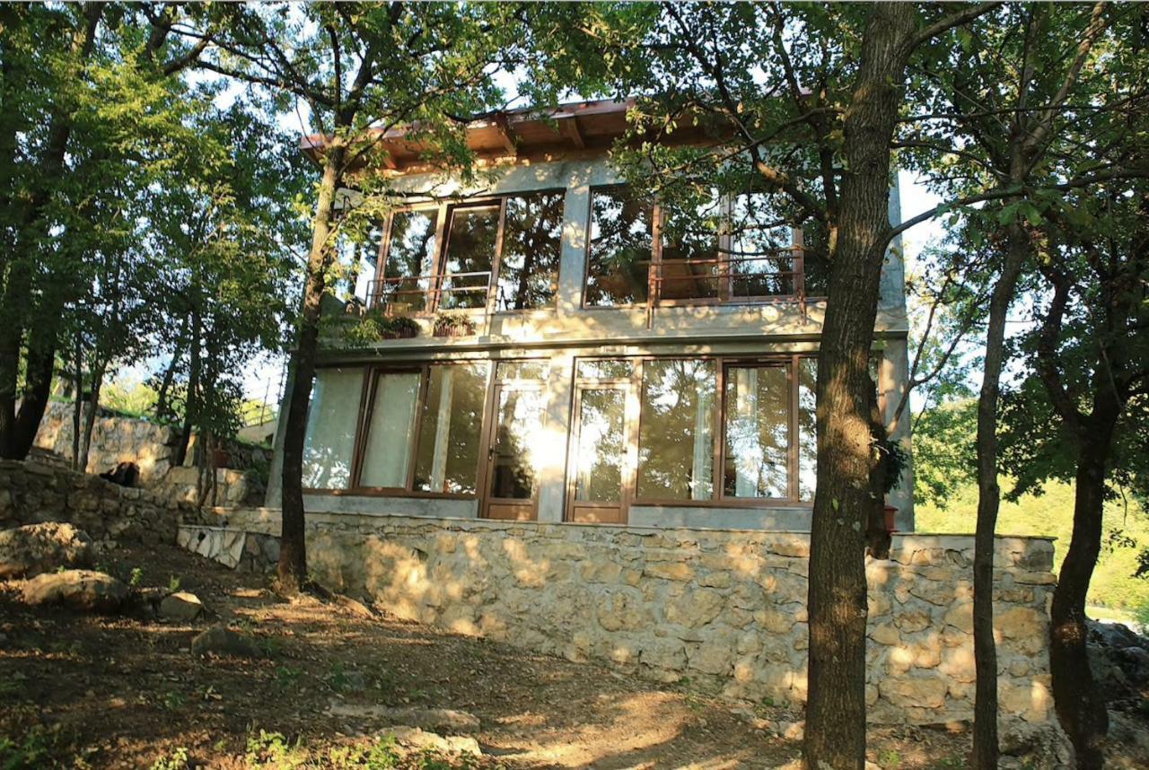 Donkey Farm Martinici - Farma Magaraca Martinici Bed & Breakfast Danilovgrad Dış mekan fotoğraf