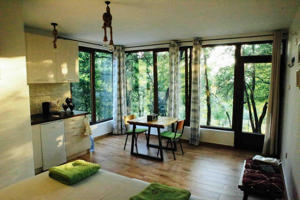 Donkey Farm Martinici - Farma Magaraca Martinici Bed & Breakfast Danilovgrad Dış mekan fotoğraf